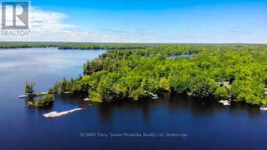 17 LIZZIE'S LANE McKellar Ontario photo 45