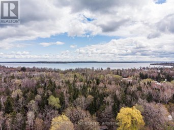 1007 FERRIER AVENUE Innisfil (Lefroy) Ontario photo 16