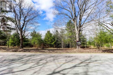 2790 OLD SECOND ROAD S Springwater (Midhurst) Ontario photo 12