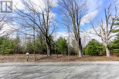 2790 OLD SECOND ROAD S Springwater (Midhurst) Ontario photo 14