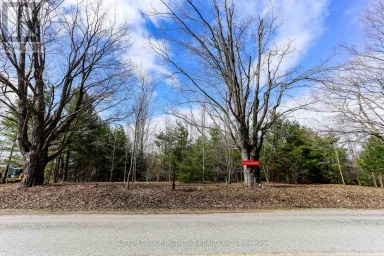 2790 OLD SECOND ROAD S Springwater (Midhurst) Ontario photo 15