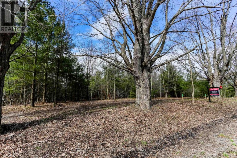 2790 OLD SECOND ROAD S, Springwater (Midhurst), Ontario, L9X1P6