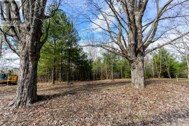 2790 OLD SECOND ROAD S Springwater (Midhurst) Ontario photo 17