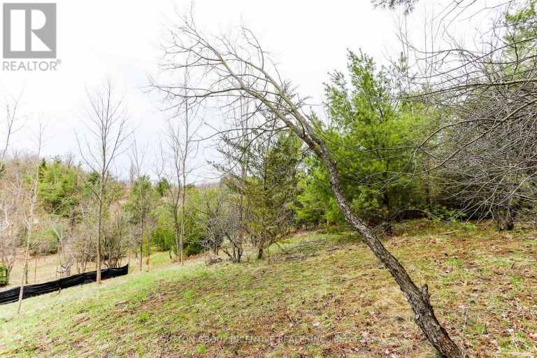 2790 OLD SECOND ROAD S, Springwater (Midhurst), Ontario, L9X1P6