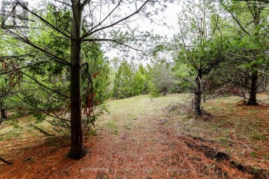 2790 OLD SECOND ROAD S Springwater (Midhurst) Ontario photo 19