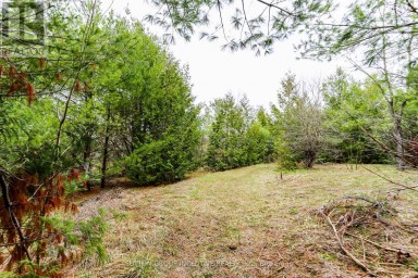 2790 OLD SECOND ROAD S Springwater (Midhurst) Ontario photo 20