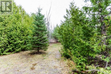 2790 OLD SECOND ROAD S Springwater (Midhurst) Ontario photo 21