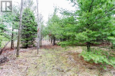 2790 OLD SECOND ROAD S Springwater (Midhurst) Ontario photo 22