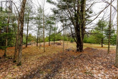 2790 OLD SECOND ROAD S Springwater (Midhurst) Ontario photo 23