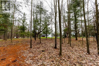 2790 OLD SECOND ROAD S Springwater (Midhurst) Ontario photo 24