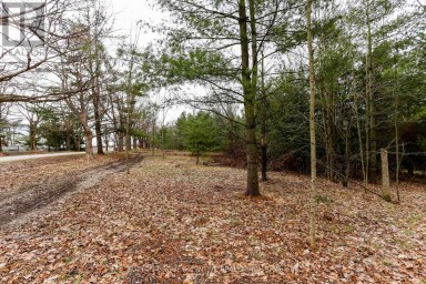 2790 OLD SECOND ROAD S Springwater (Midhurst) Ontario photo 25