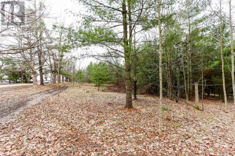 2790 OLD SECOND ROAD S, Springwater (Midhurst), Ontario, L9X1P6