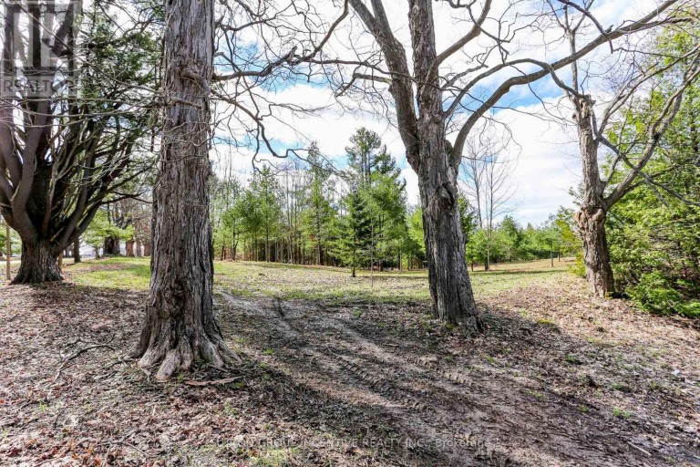 2790 OLD SECOND ROAD S, Springwater (Midhurst), Ontario, L9X1P6