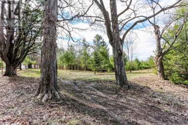 2790 OLD SECOND ROAD S Springwater (Midhurst) Ontario photo 4
