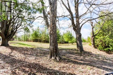 2790 OLD SECOND ROAD S Springwater (Midhurst) Ontario photo 5