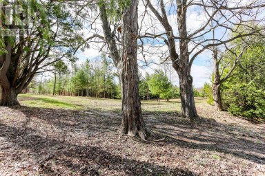 2790 OLD SECOND ROAD S Springwater (Midhurst) Ontario photo 6