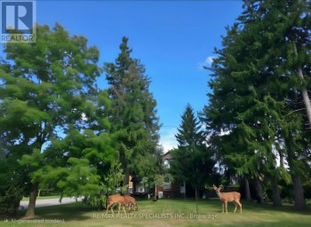 5193 EIGHTH LINE Milton (TR Rural Trafalgar) Ontario photo 16