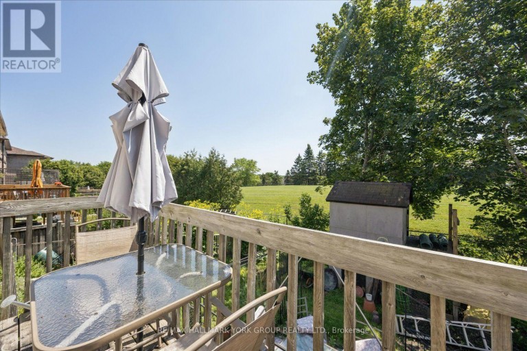 458 CHESTER AVENUE, Newmarket (Bristol-London), Ontario, L3Y6R7