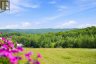 443 HOLLAND LAKE ROAD, Bancroft (dungannon Ward), Ontario, K0L1C0 (ID X13640930)