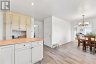 443 HOLLAND LAKE ROAD, Bancroft (dungannon Ward), Ontario, K0L1C0 (ID X13640930)