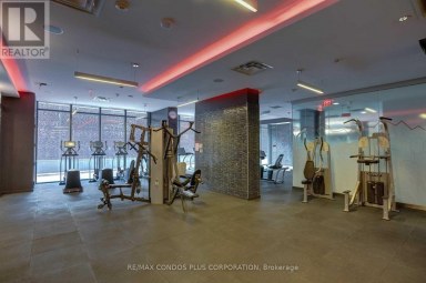 325 - 560 FRONT STREET W Toronto (Waterfront Communities) Ontario photo 23