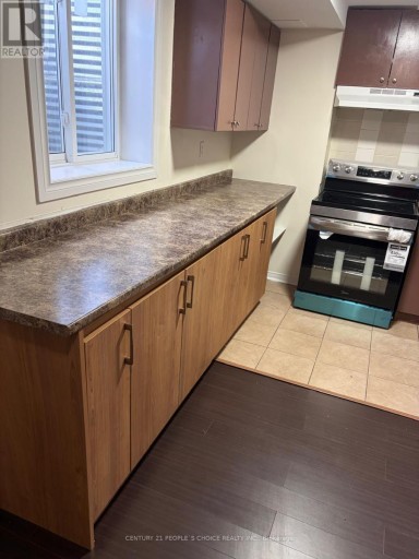 BASEMENT - 459 PETTIT TRAIL, Milton (CL Clarke), Ontario, L9T6N9
