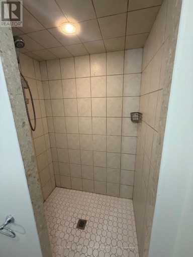 BASEMENT - 459 PETTIT TRAIL, Milton (CL Clarke), Ontario, L9T6N9