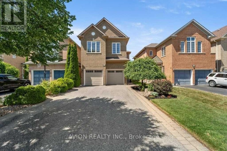 BSMT - 56 GOLDEN OAK AVENUE, Richmond Hill (Rouge Woods), Ontario, L4S1Y5