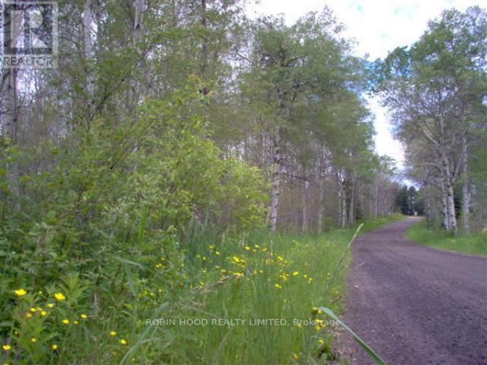 825 - 425 SPANISH RIVER ROAD, Worthington, Ontario, P0M1J0