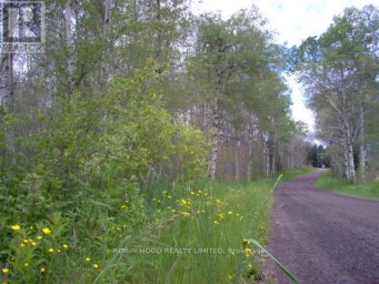825 - 425 SPANISH RIVER ROAD Worthington Ontario photo 1