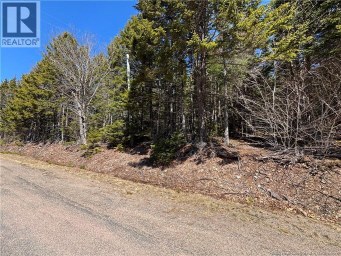 Shore Road Breadalbane New Brunswick photo 2