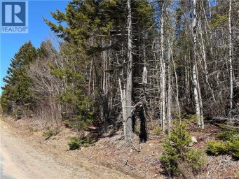 Shore Road Breadalbane New Brunswick photo 3