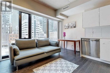 308 - 11 CHARLOTTE STREET Toronto (Waterfront Communities) Ontario photo 8