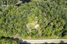 1238 STAR LAKE ROAD, Mcmurrich/monteith (sprucedale), Ontario, P0A1Y0 (ID X13644118)