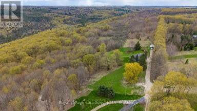 446070 JOHNSTON'S SIDE ROAD Grey Highlands Ontario photo 38