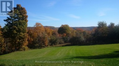 446070 JOHNSTON'S SIDE ROAD Grey Highlands Ontario photo 41