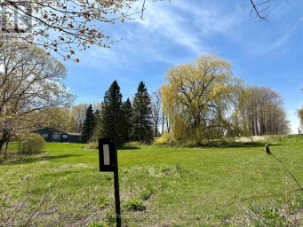 446070 JOHNSTON'S SIDE ROAD Grey Highlands Ontario photo 46