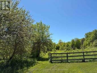 446070 JOHNSTON'S SIDE ROAD Grey Highlands Ontario photo 5