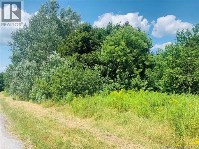 Land Bovaird Street, Hampton, New Brunswick, E5N3A5