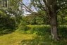 2347 BATTERSEA ROAD, Kingston (city North Of 401), Ontario, K0H1S0 (ID X13645290)