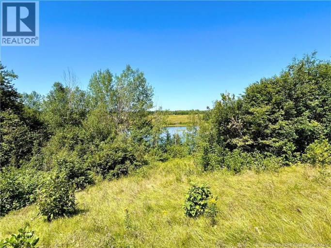 3036 Sq Mt Route 117, Black River Bridge, New Brunswick, E1N5K5