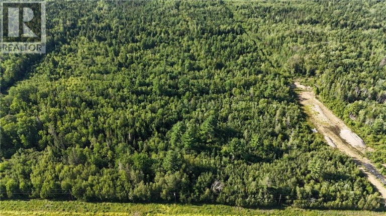 Woodlot Route 8, Blissfield, New Brunswick, E9C1X5