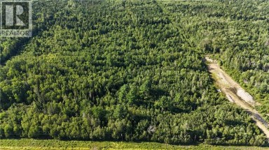 Woodlot Route 8 Blissfield New Brunswick photo 1