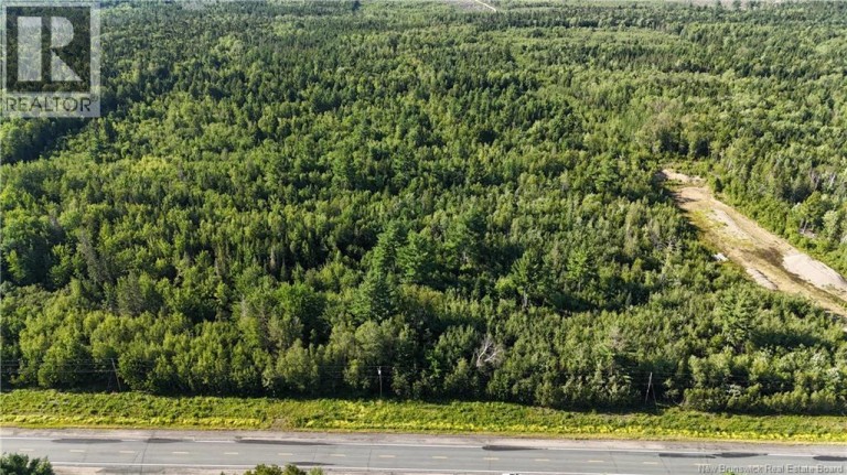 Woodlot Route 8, Blissfield, New Brunswick, E9C1X5