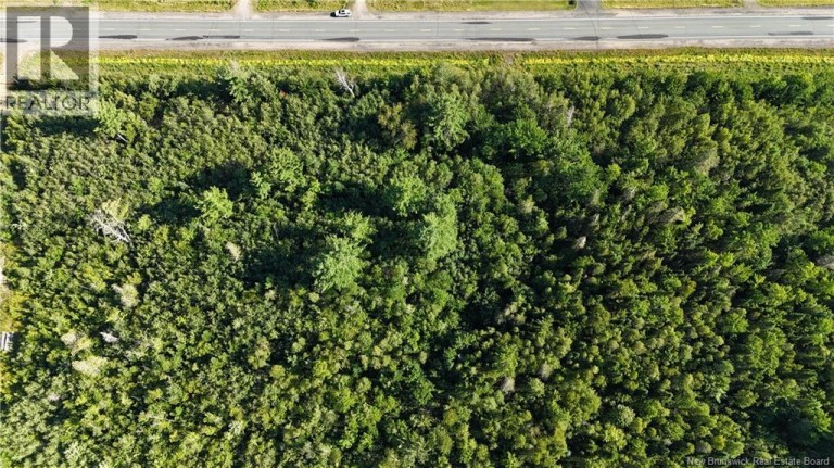 Woodlot Route 8, Blissfield, New Brunswick, E9C1X5