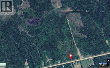 Woodlot Route 8 Blissfield New Brunswick photo 7