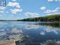 67 SANDY COVE DRIVE, Armour, Ontario, P0A1C0 (ID X13646042)