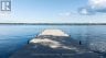 1 SHORESIDE WAY, Augusta, Ontario, K6V5T1 (ID X13646314)