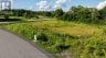 1 SHORESIDE WAY, Augusta, Ontario, K6V5T1 (ID X13646314)