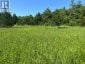 2421 14TH LINE EAST ACRES E, Trent Hills, Ontario, K0L1L0 (ID X13646494)